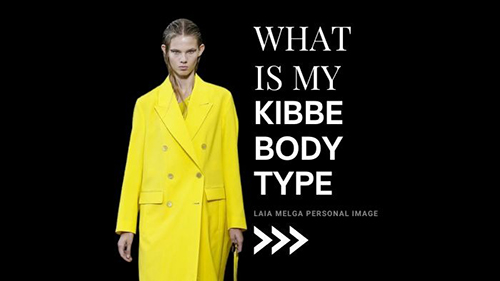 what is my kibbe body type